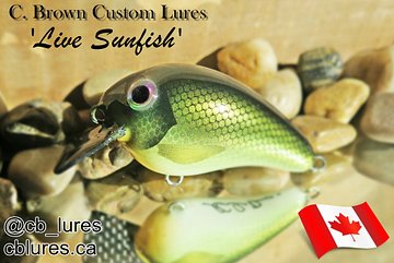Live Sunfish